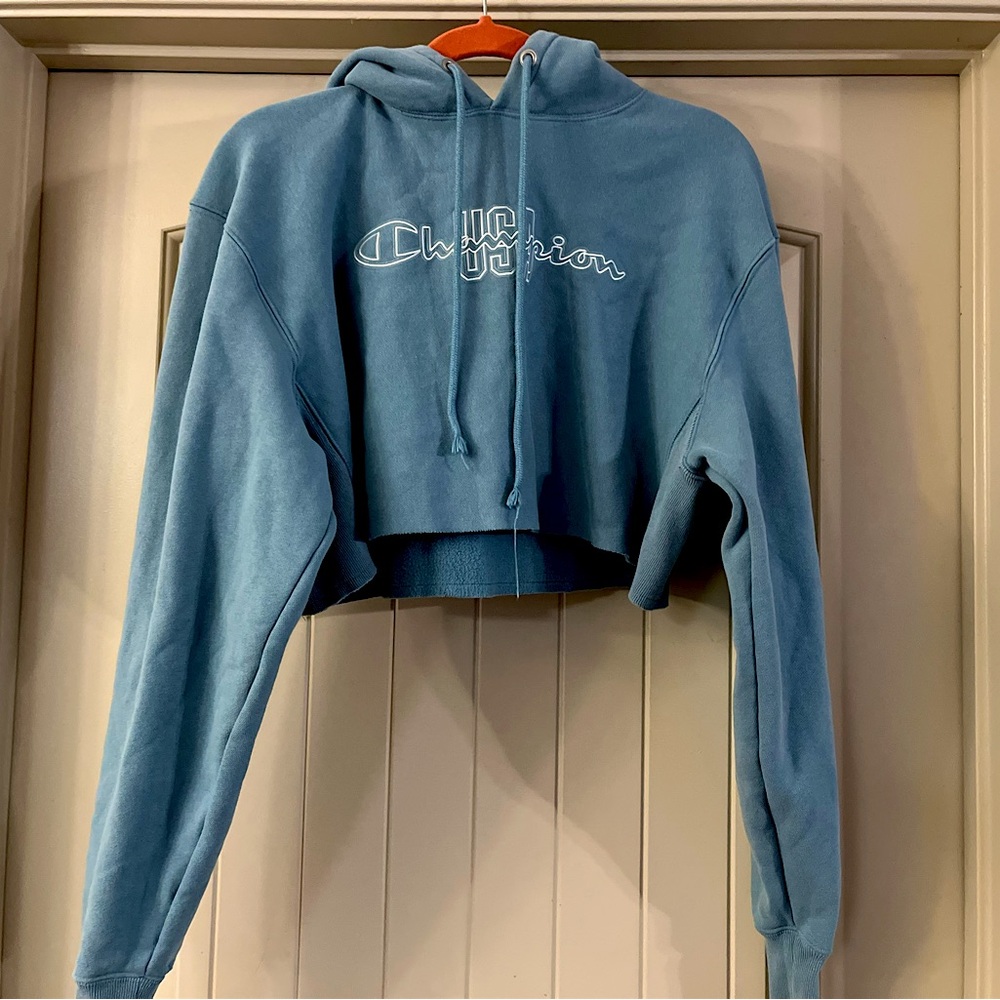 Authentic Champion Crop Top Hoodie - Picture 4 of 4